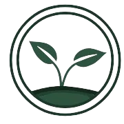 organic cotton socks 003