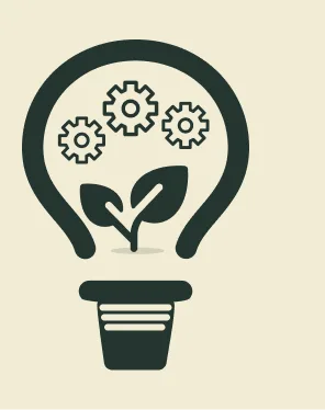 organic cotton socks 009