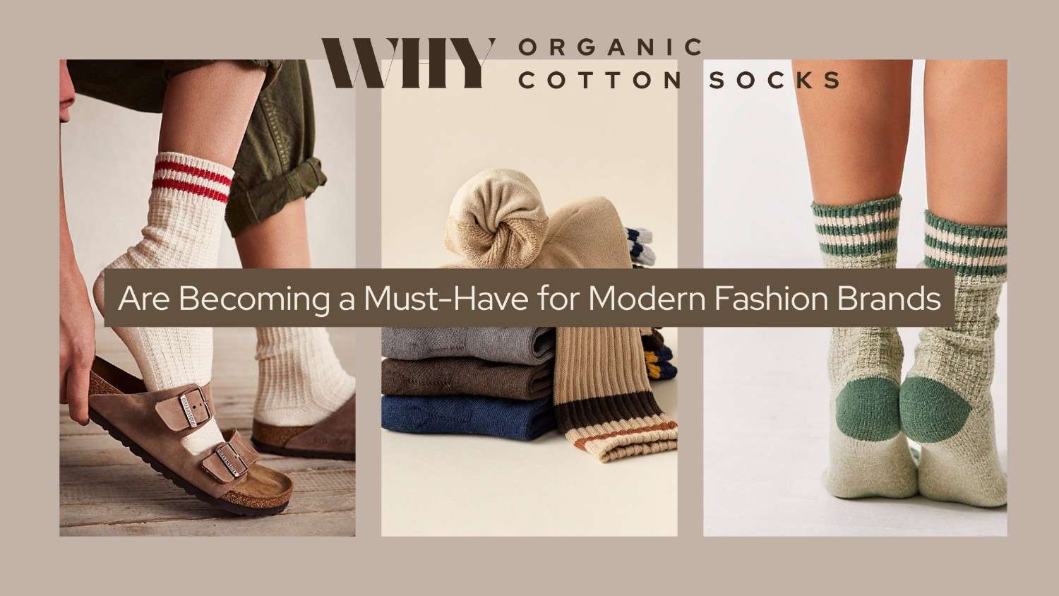Why Organic Cotton Socks Are Becoming a Must-Have for Modern Fashion Brands